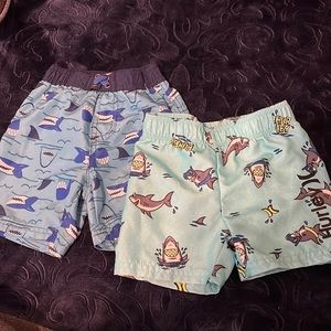 Baby Boy swimming shorts